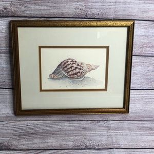 D. Morgan shell watercolor framed art
